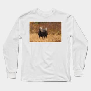 Moose - Algonquin Park, Canada Long Sleeve T-Shirt